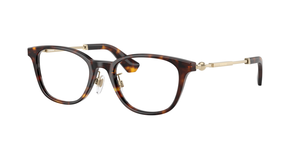Burberry | 0BE2423D