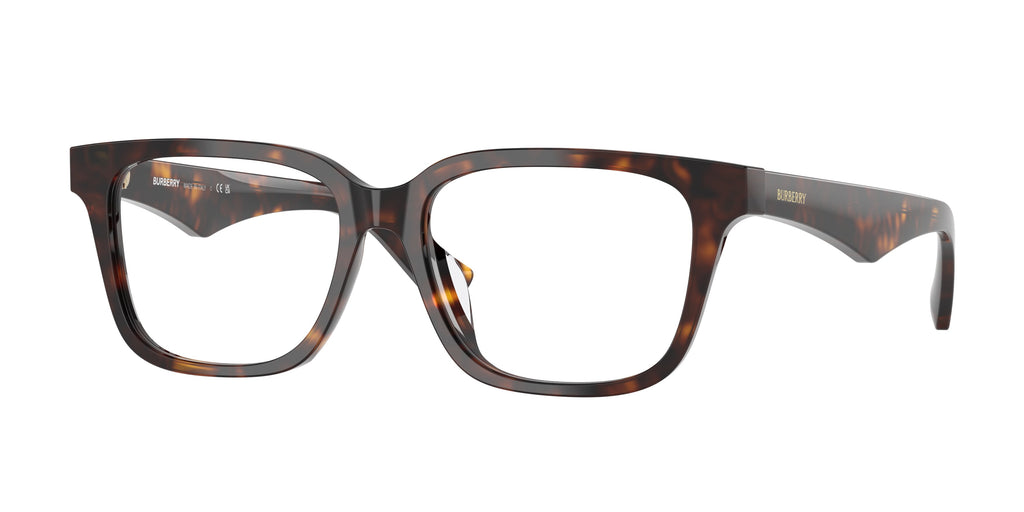Burberry | 0BE2425D