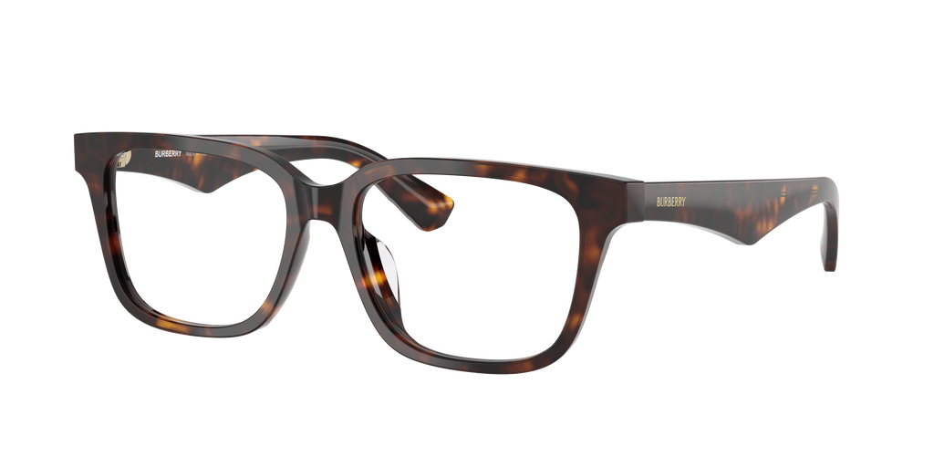Burberry | 0BE2425D
