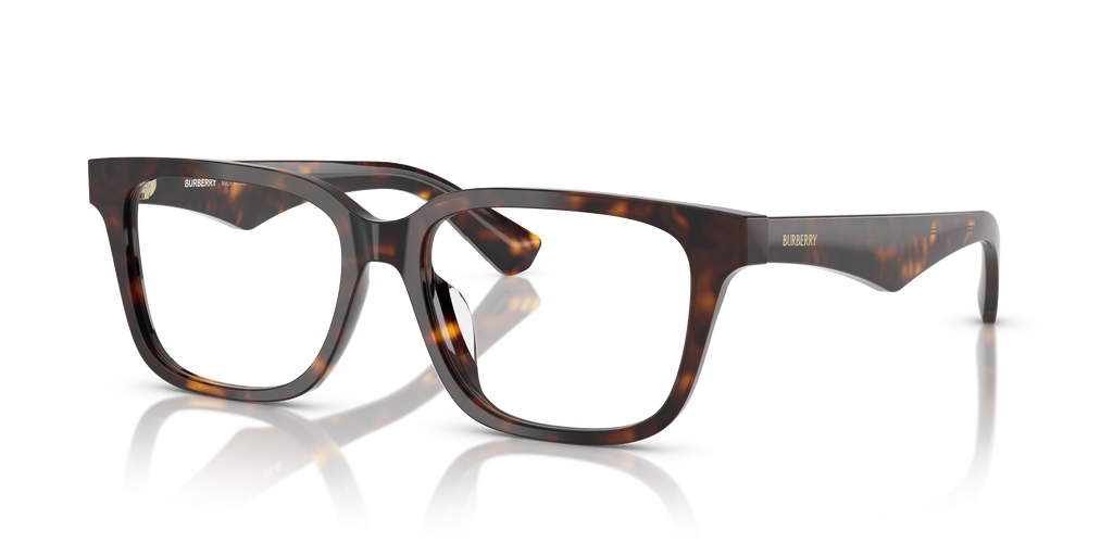 Burberry | 0BE2425D