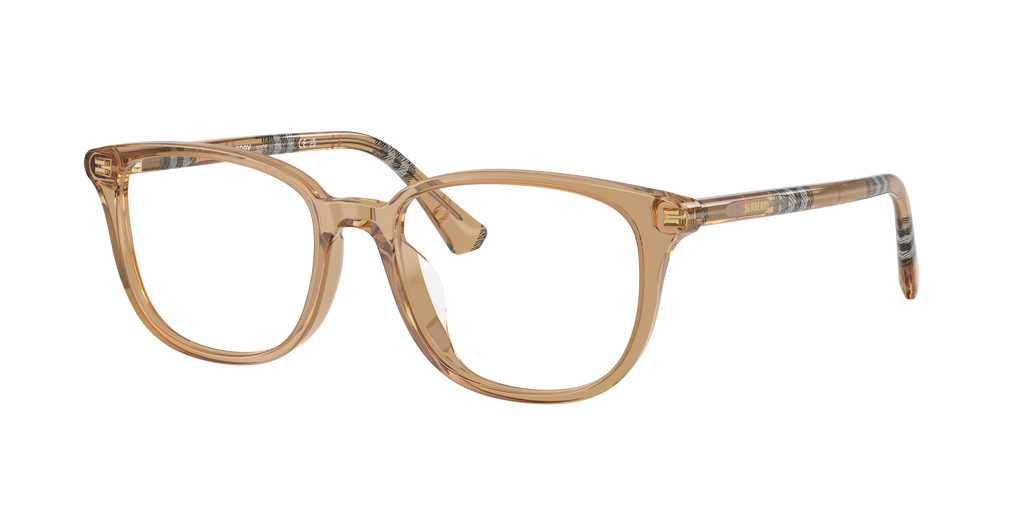 Burberry | 0BE2434D