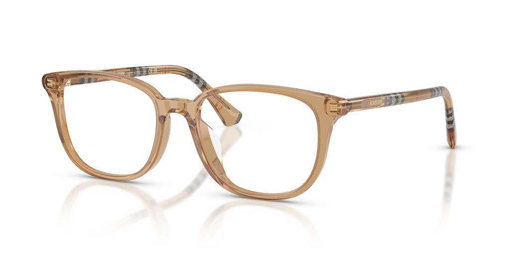 Burberry | 0BE2434D