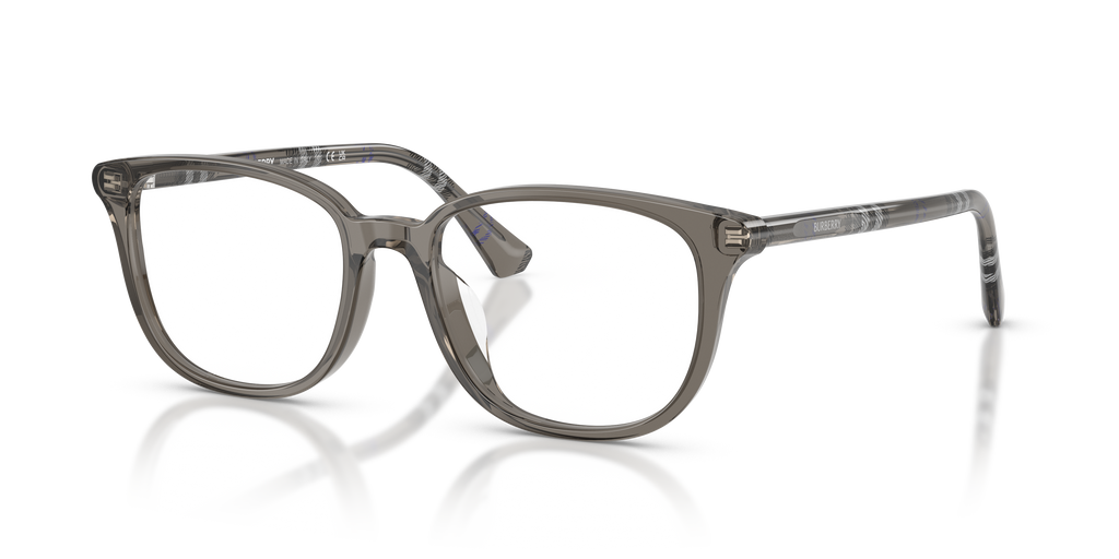 Burberry | 0BE2434D