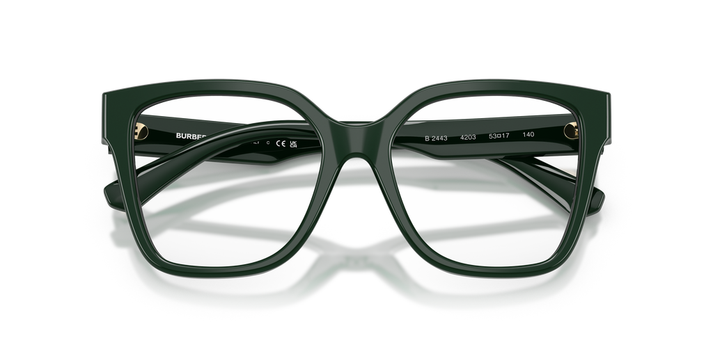 Burberry | 0BE2443