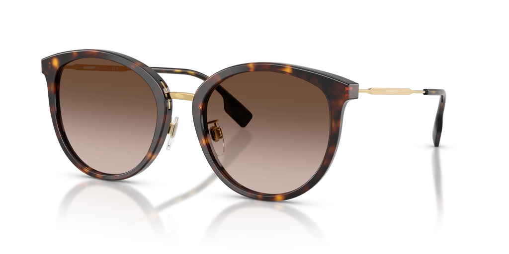 Burberry | 0BE4289D