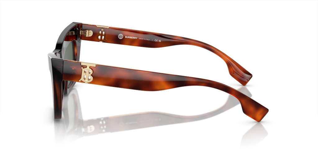 Burberry | 0BE4405