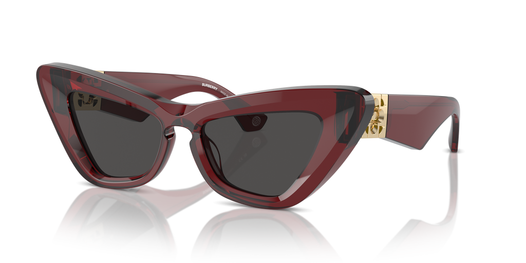 Burberry | 0BE4421U