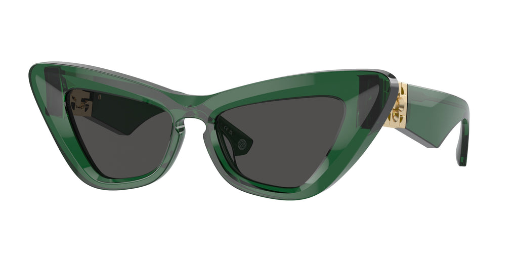 Burberry | 0BE4421U