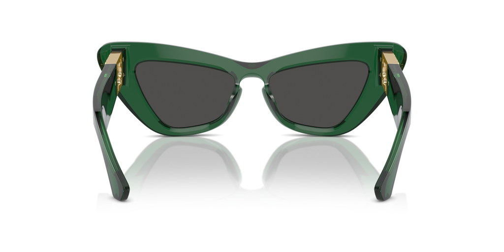 Burberry | 0BE4421U