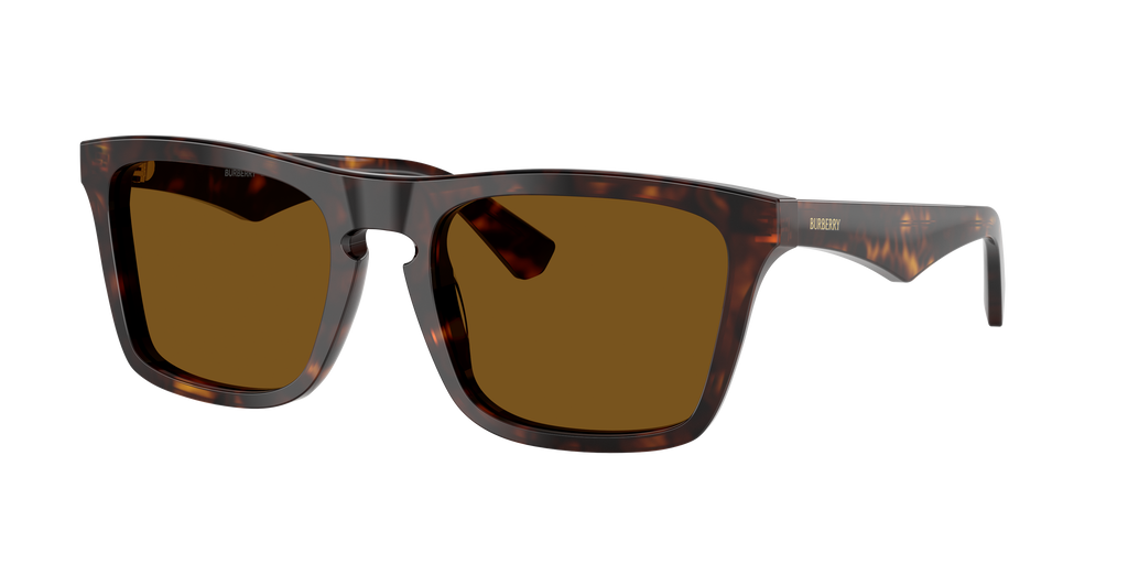 Burberry | 0BE4434