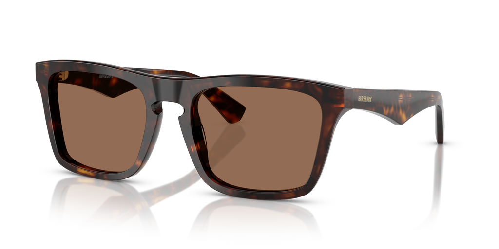Burberry | 0BE4434
