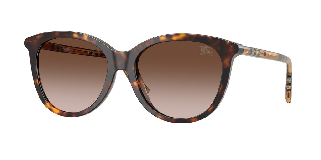 Burberry | 0BE4455