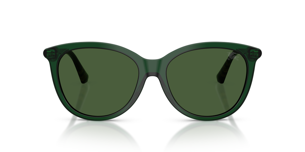Burberry | 0BE4455