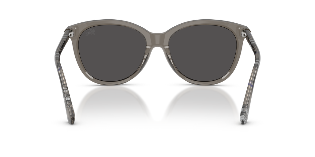 Burberry | 0BE4455