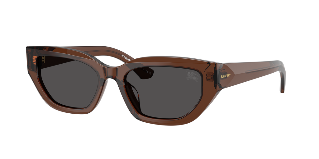 Burberry | 0BE4463D