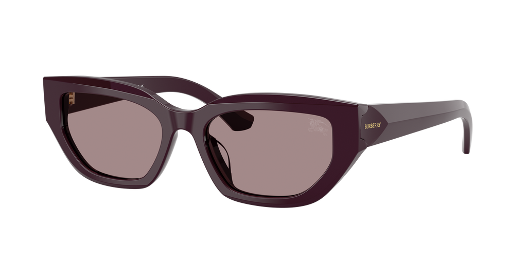Burberry | 0BE4463D