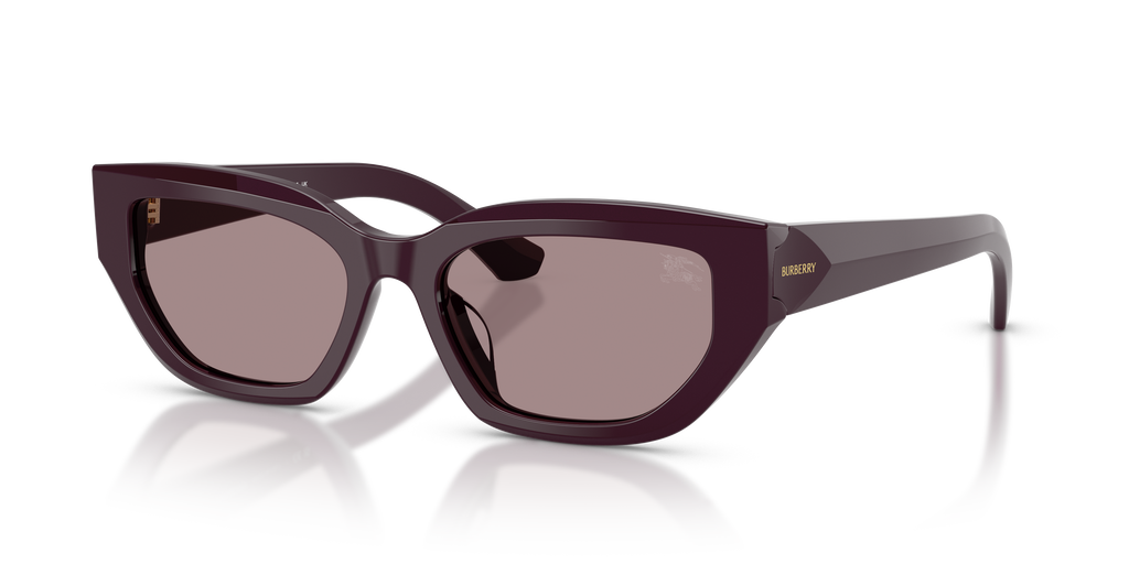 Burberry | 0BE4463D