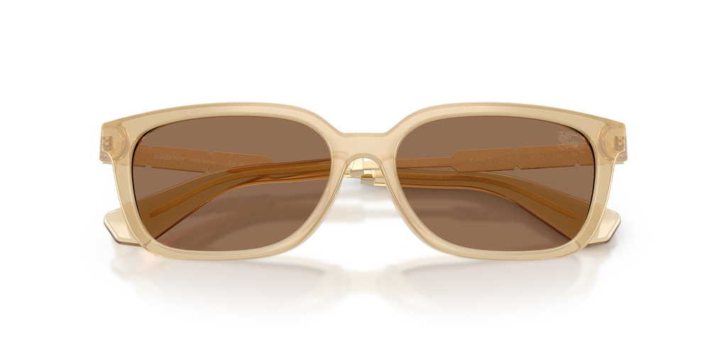 Burberry | 0BE4481D