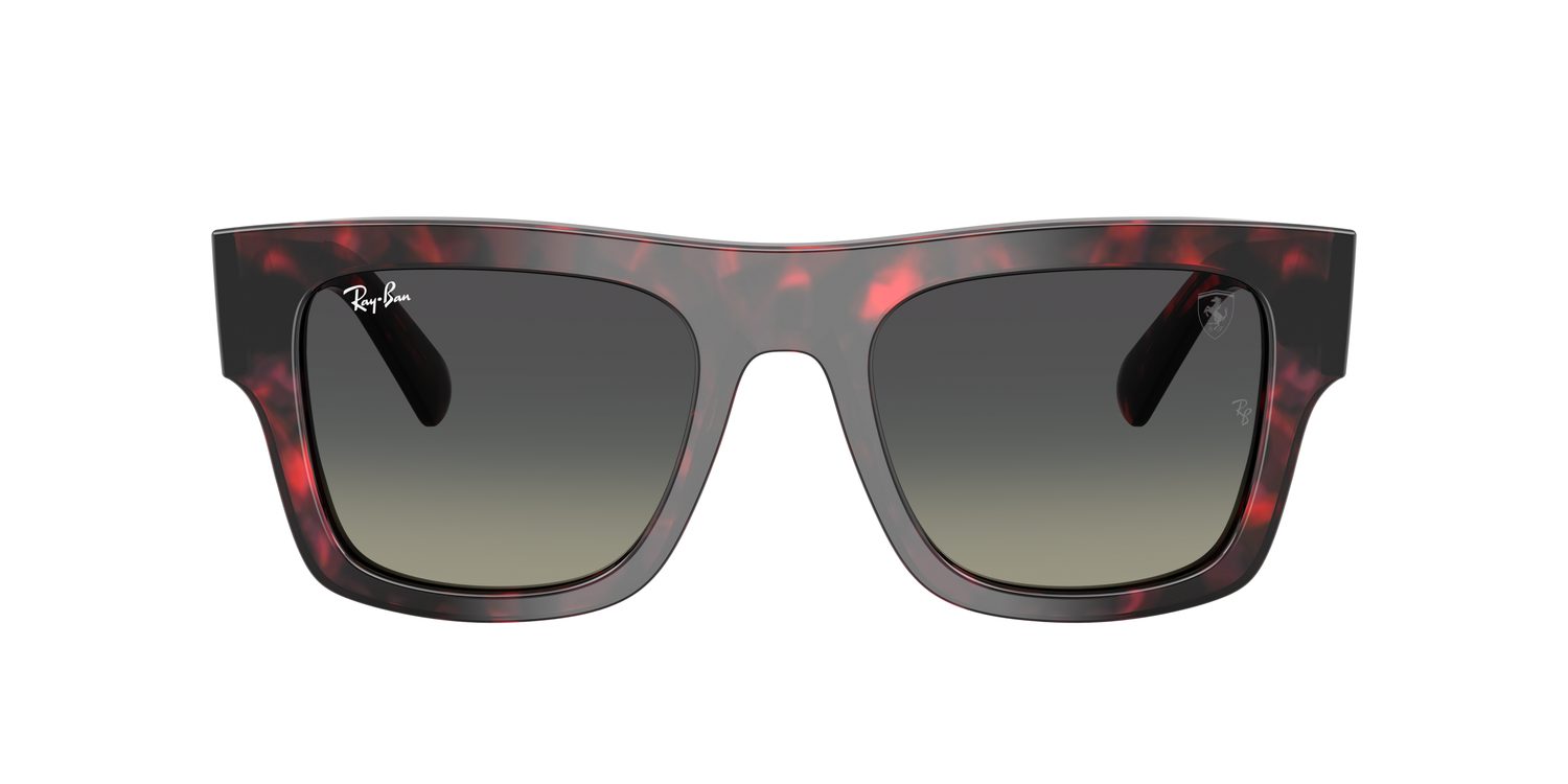 Ray-Ban | 0RB2217M