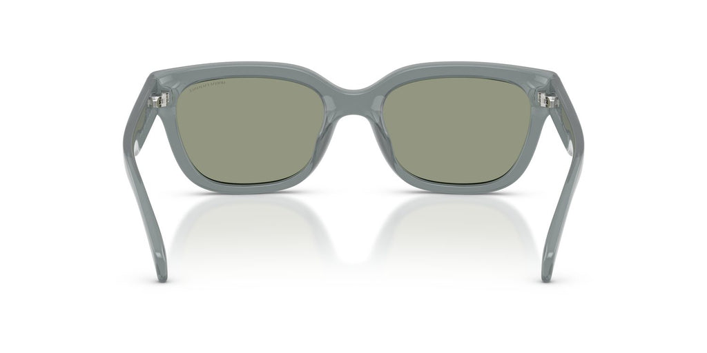 Armani Exchange | 0AX4155SU