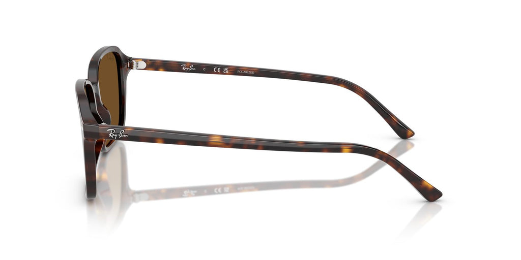 Ray-Ban | 0RB2231