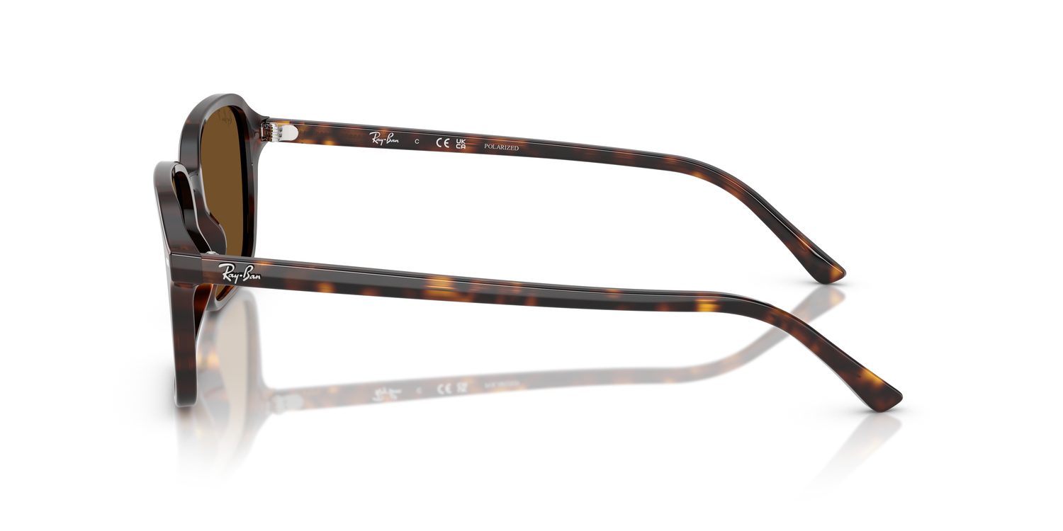 Ray-Ban | 0RB2231