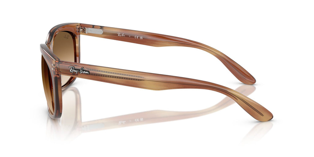 Ray-Ban | 0RB2389