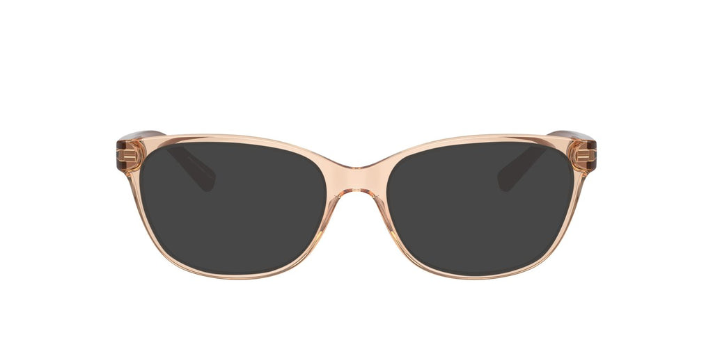 Armani Exchange | 0AX3037