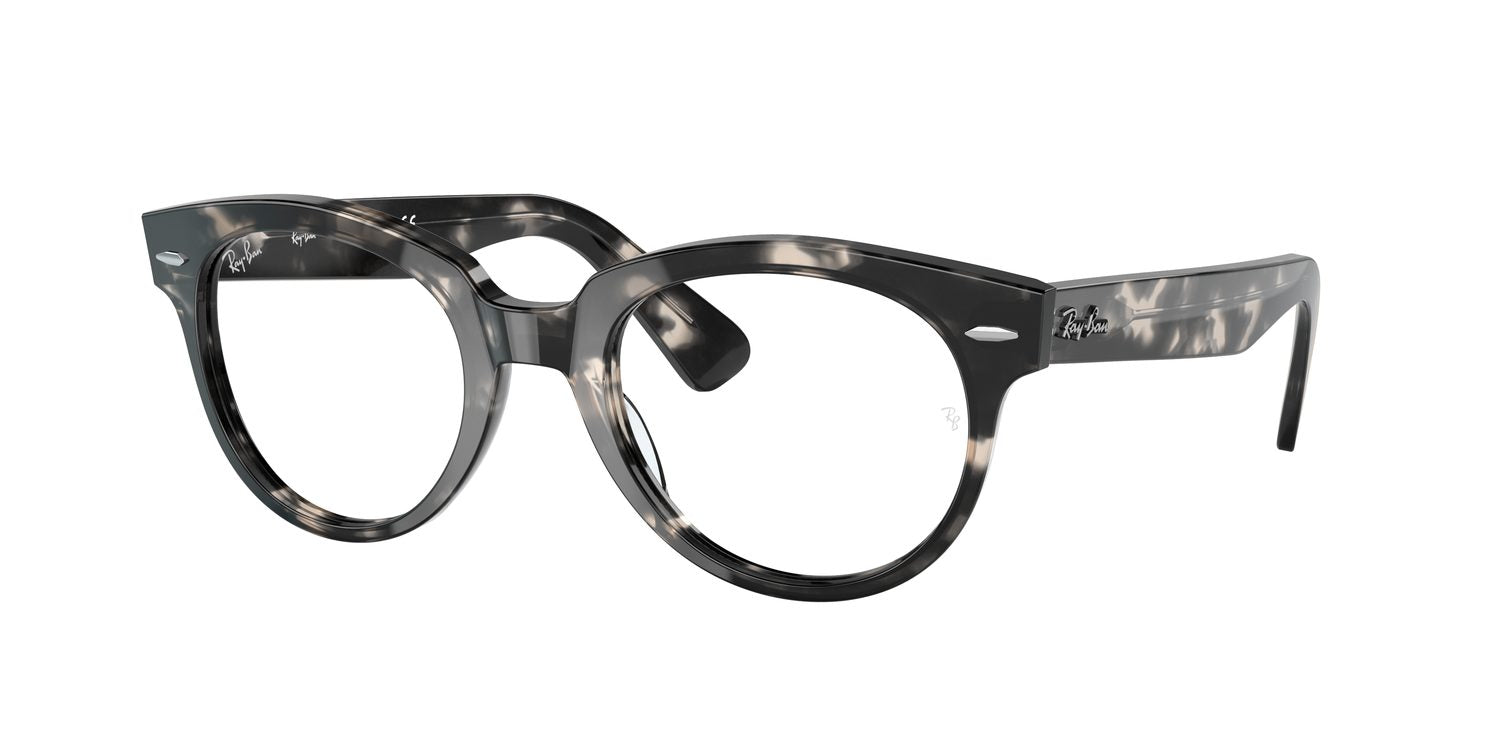 Ray-Ban | 0RX2199V (Orion)
