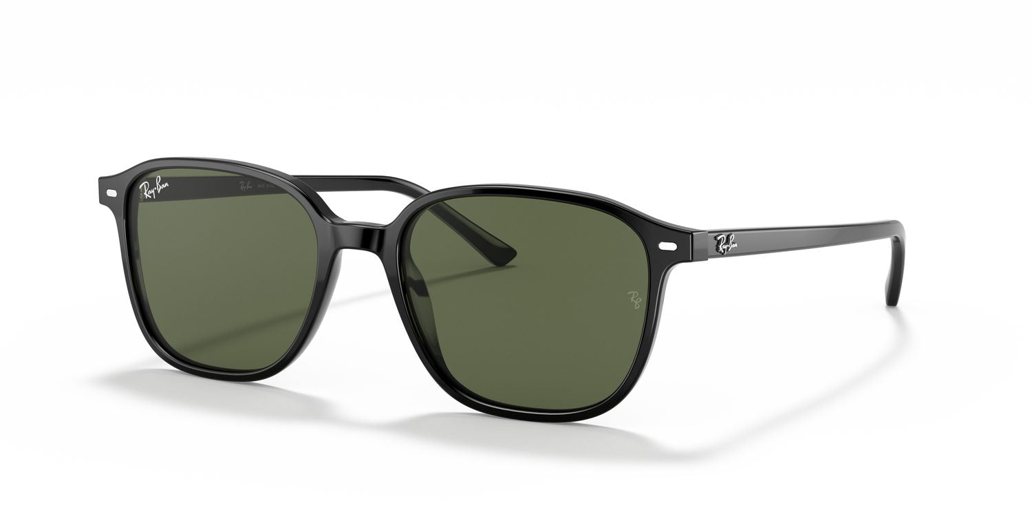 Ray-Ban | 0RB2193