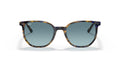 Ray-Ban | 0RB2197