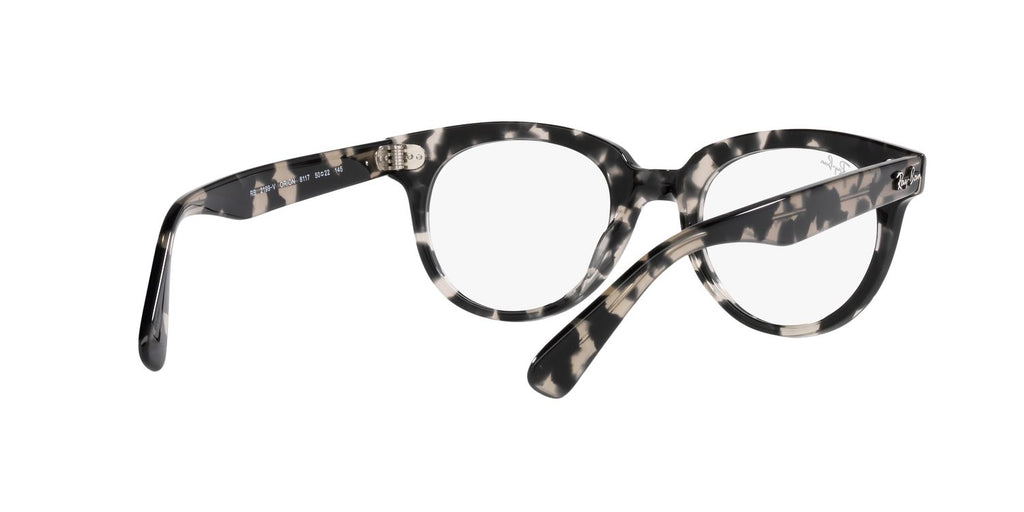 Ray-Ban | 0RX2199V (Orion)