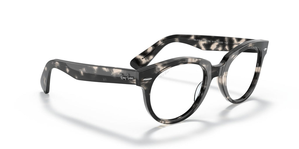 Ray-Ban | 0RX2199V (Orion)