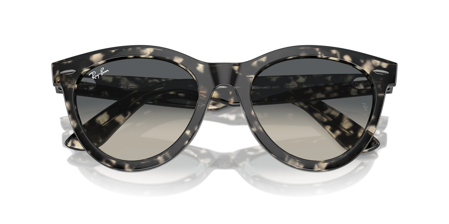 Ray-Ban | 0RB2241