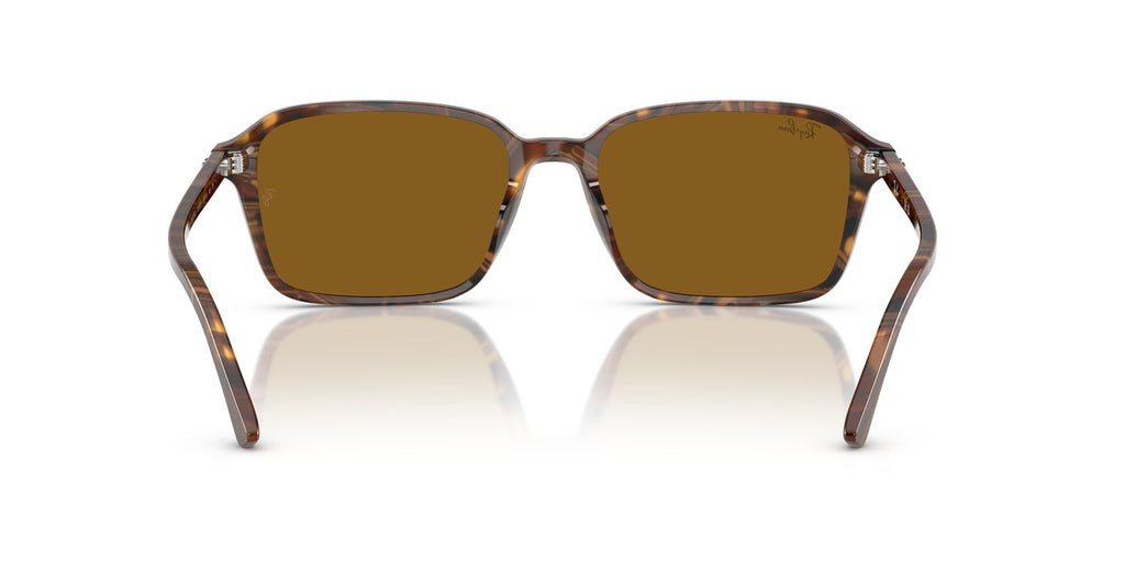 Ray-Ban | 0RB2231