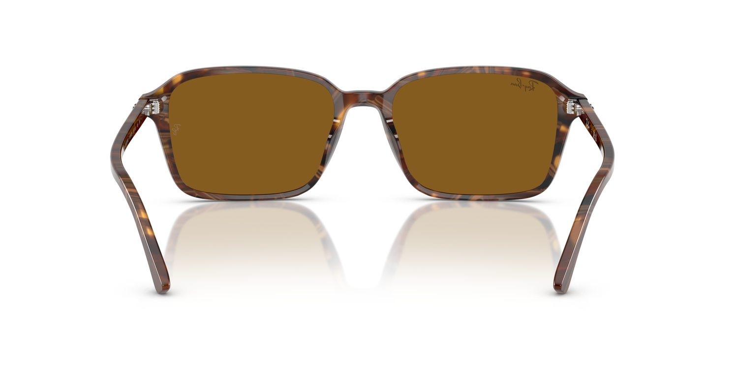 Ray-Ban | 0RB2231