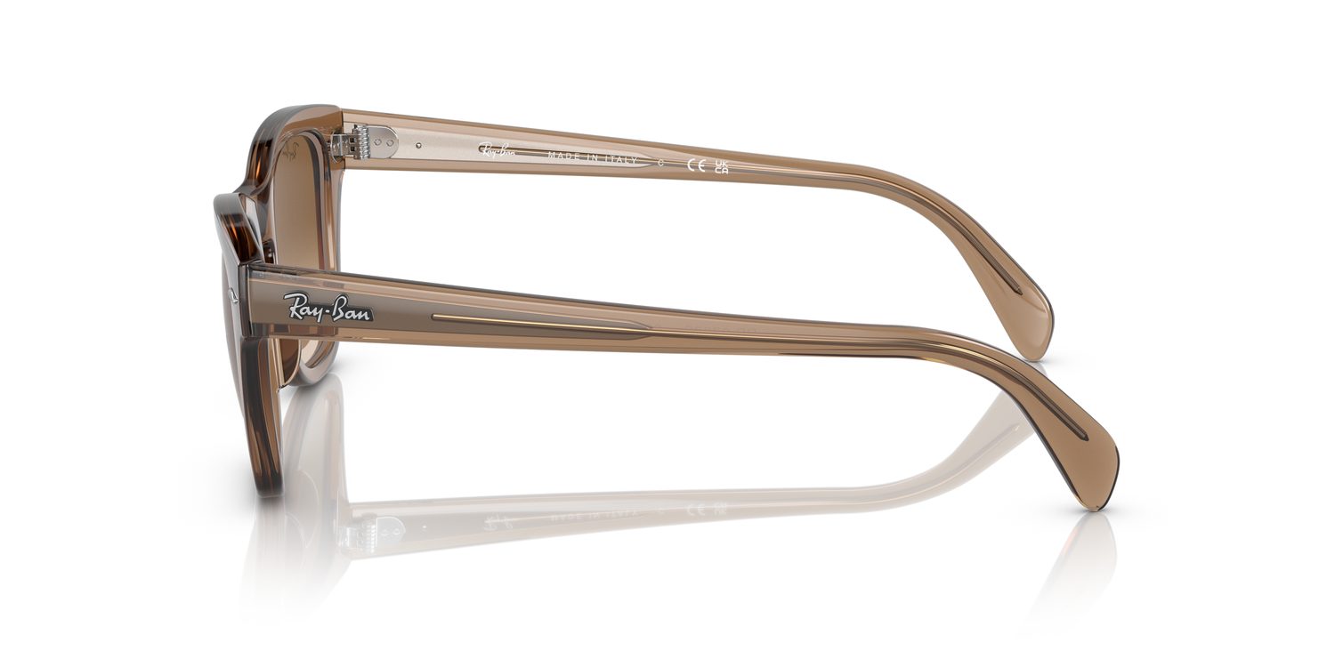 Ray-Ban | 0RB0707S