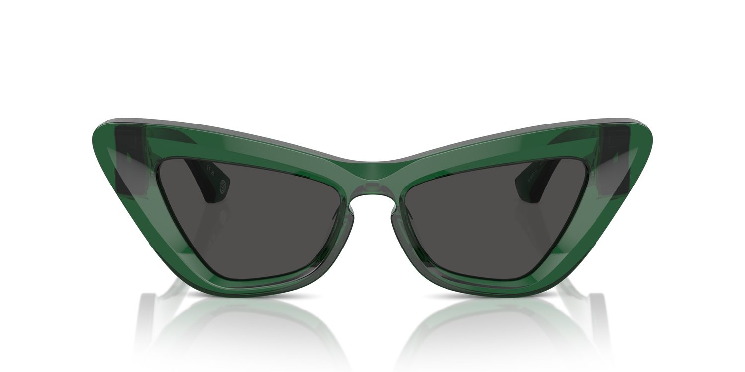 Burberry | 0BE4421U
