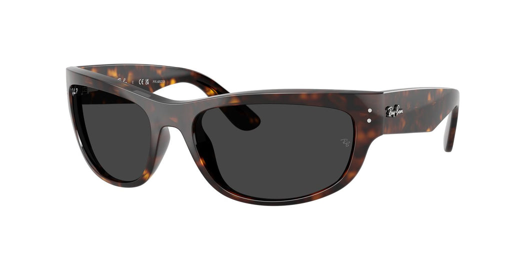 Ray-Ban | 0RB2289