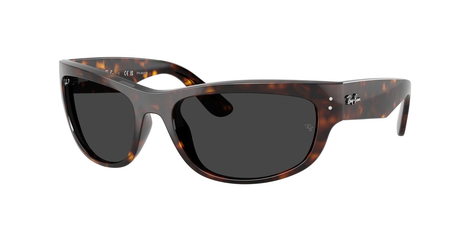 Ray-Ban | 0RB2289
