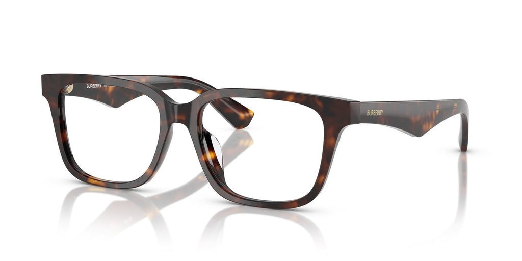 Burberry | 0BE2425D