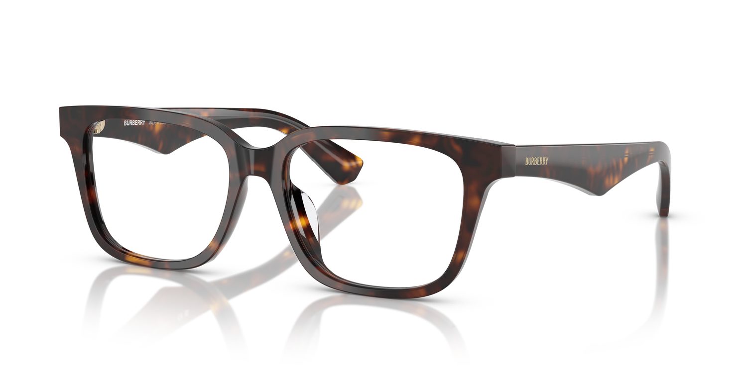 Burberry | 0BE2425D