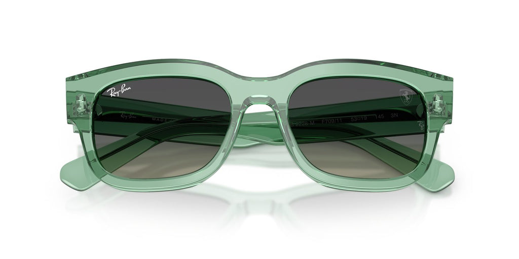 Ray-Ban | 0RB2228M