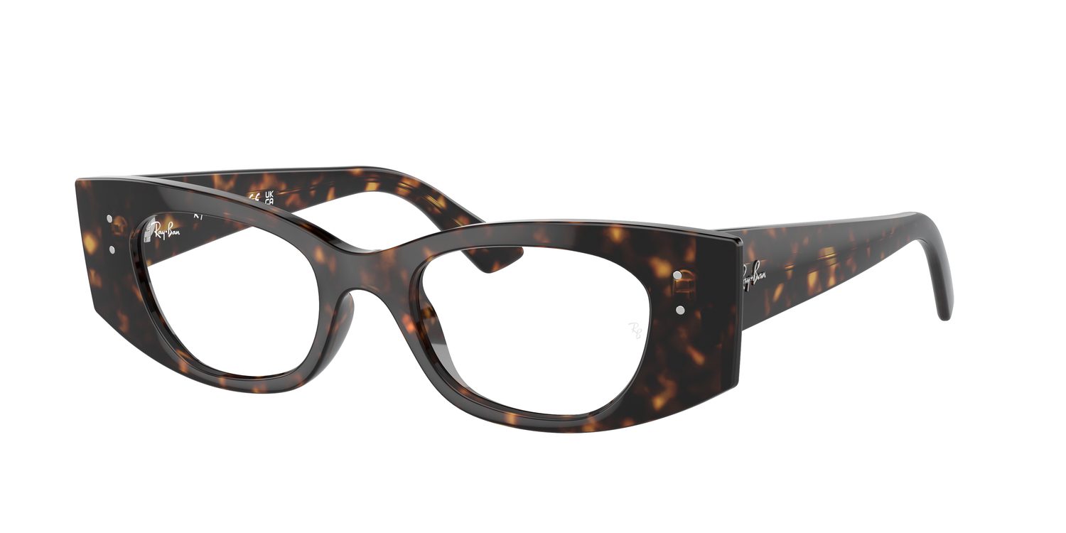Ray-Ban | 0RX7327 (Kat)