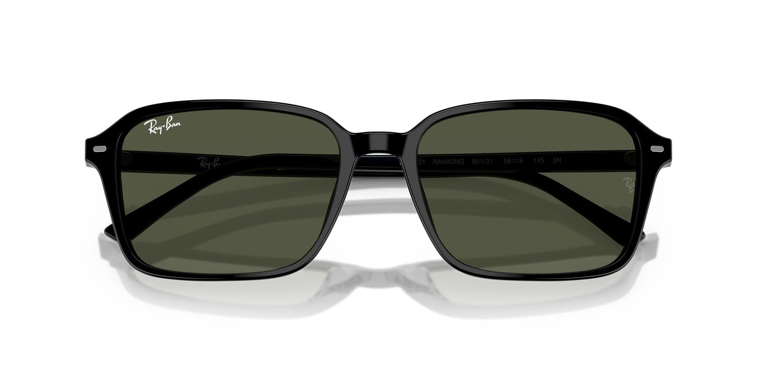Ray-Ban | 0RB2231