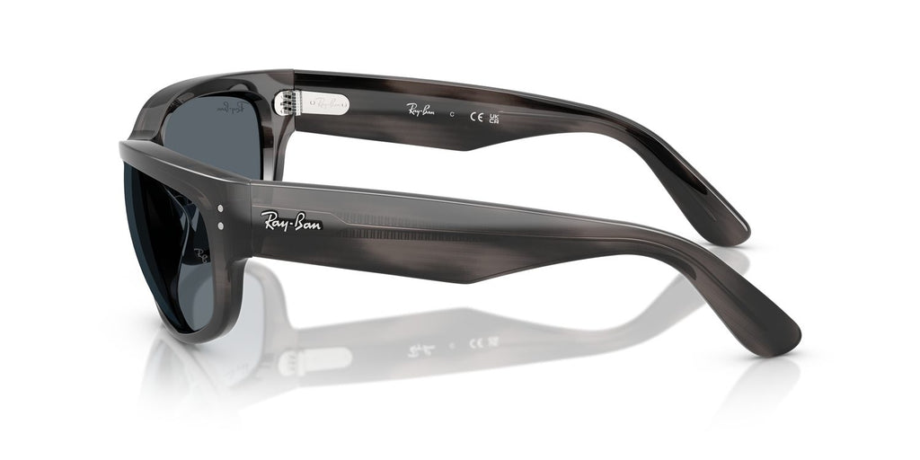 Ray-Ban | 0RB2289