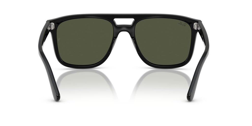 Ray-Ban | 0RB2213