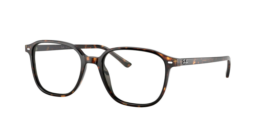 Ray-Ban | 0RB2193