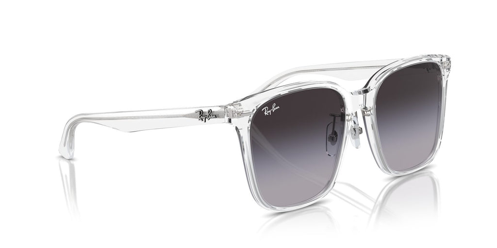 Ray-Ban | 0RB2206D