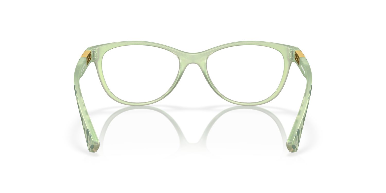 Oakley | 0OX8146 (Plungeline)